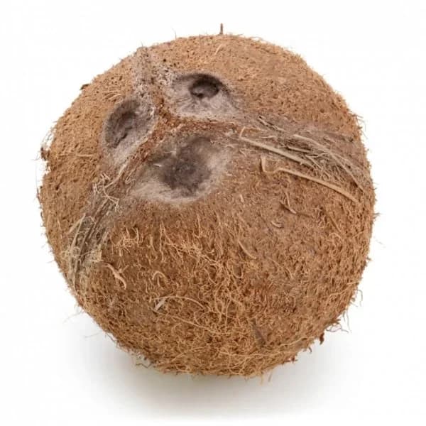 Coco 500 g aprox - 1 ud - Imagen del producto en Findit