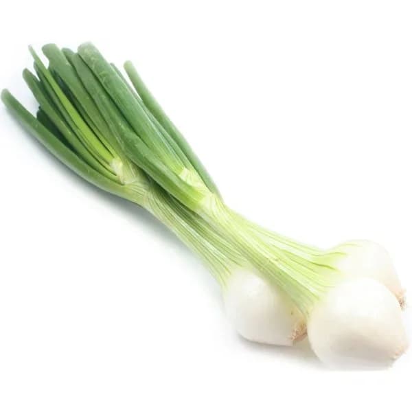 Cebolla Tierna 3 Unidades - 0.3 kg - Imagen del producto en Findit