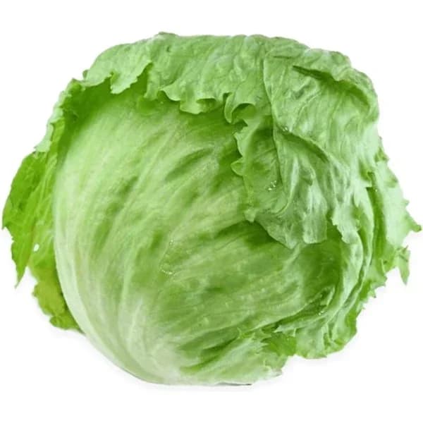 Lechuga Iceberg - 0.35 kg - Imagen del producto en Findit