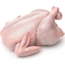 pollo