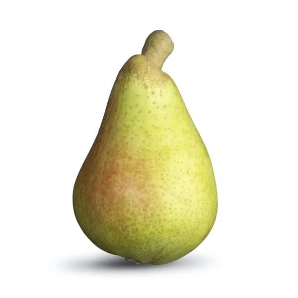 Pera Carmen - 0.17 kg - Imagen del producto en Findit