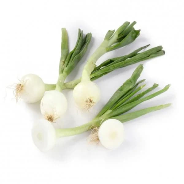 Cebolleta blanca manojo de 3-4  piezas - 1 ud - Imagen del producto en Findit