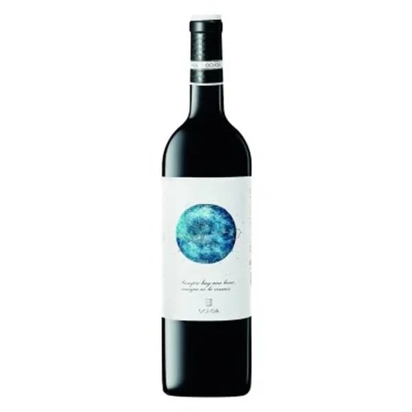 Vino tinto DO Navarra joven 0,75 l - 0.75 l - Imagen del producto en Findit