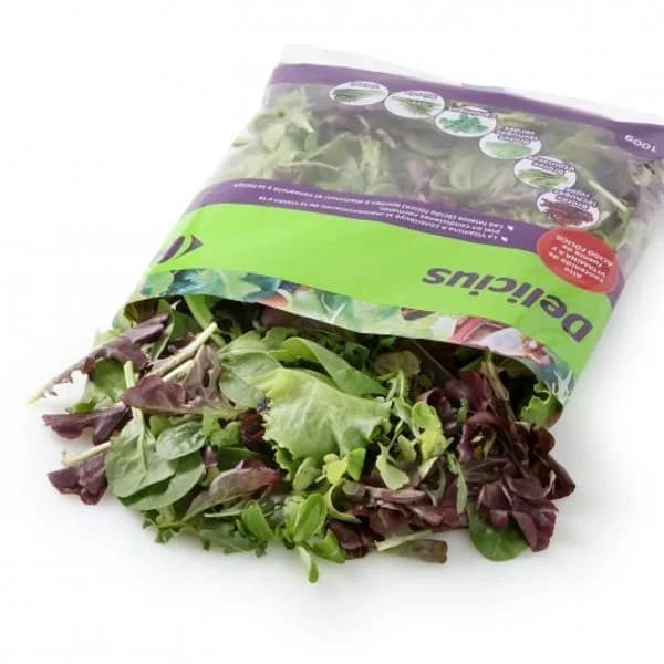 Ensalada delicius Carrefour 100 g - 1 ud - Imagen del producto en Findit