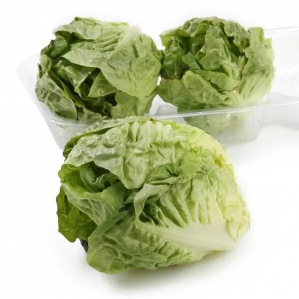 Corazón de lechuga romana 650 g - 1 kg - Imagen del producto en Findit