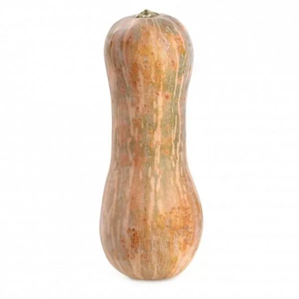 Calabaza del país 2 kg aprox - 1 ud - Imagen del producto en Findit