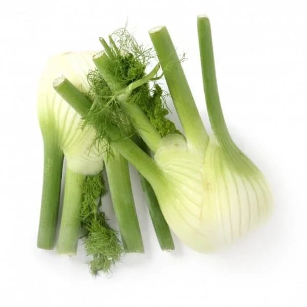 Hinojo 1 kg aprox - 1 kg - Imagen del producto en Findit