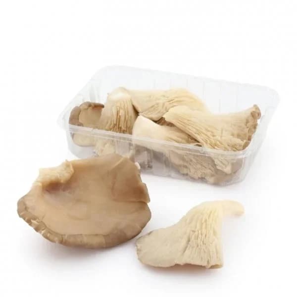 Seta Carrefour 250 g aprox - 0.25 kg - Imagen del producto en Findit
