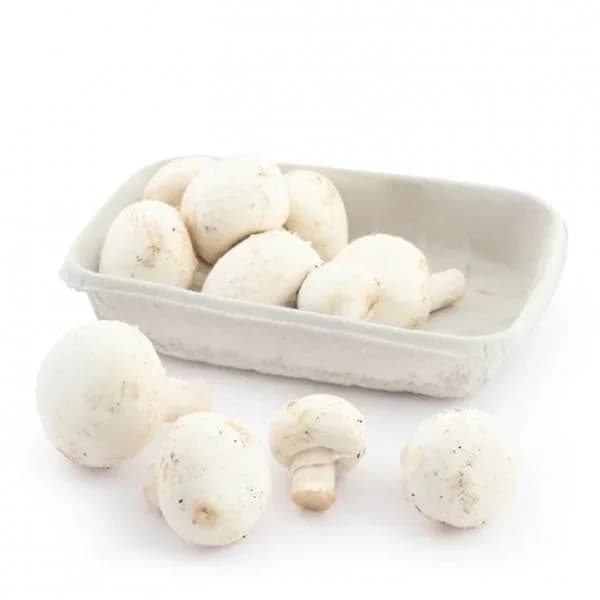 Champiñon ecológico Carrefour 300 g aprox - 0.3 kg - Imagen del producto en Findit