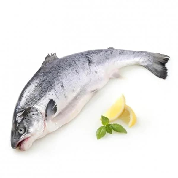 Salmón 3 kg aprox - 3 kg - Imagen del producto en Findit