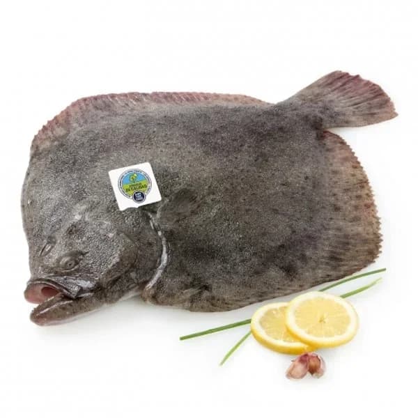 Rodaballo Círculo de calidad 2 kg aprox - 2 kg - Imagen del producto en Findit