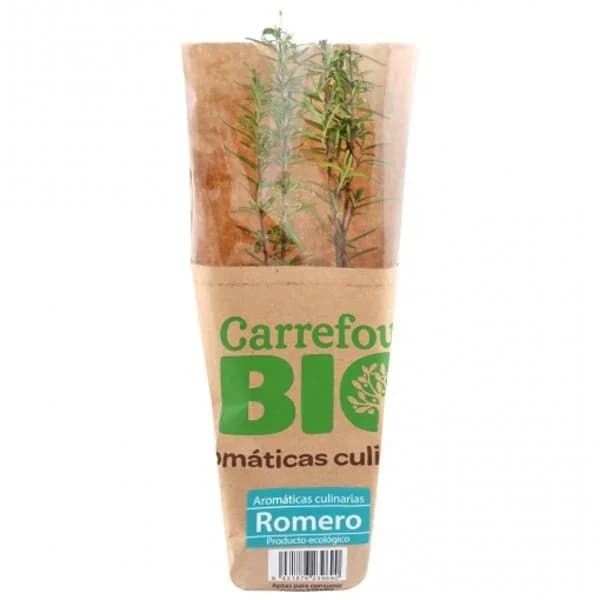 Romero ecológico Carrefour Bio maceta 1 ud - 1 ud - Imagen del producto en Findit