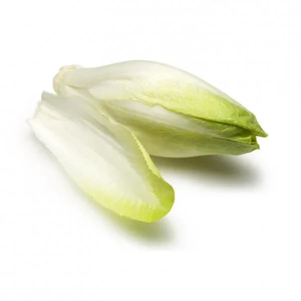 Endivia Carrefour 450 g - 0.45 kg - Imagen del producto en Findit