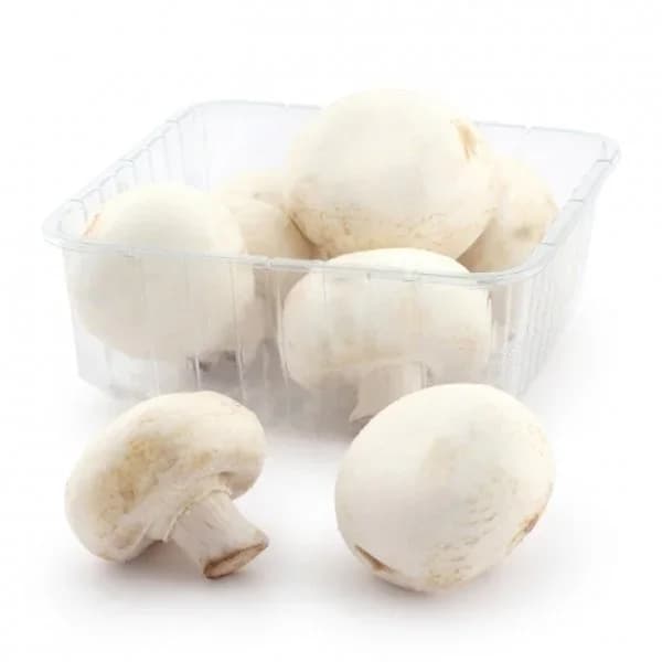 Champiñon pie cortado Carrefour 600 g aprox - 0.6 kg - Imagen del producto en Findit