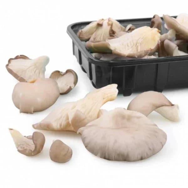 Seta Carrefour 600 g aprox - 0.6 kg - Imagen del producto en Findit
