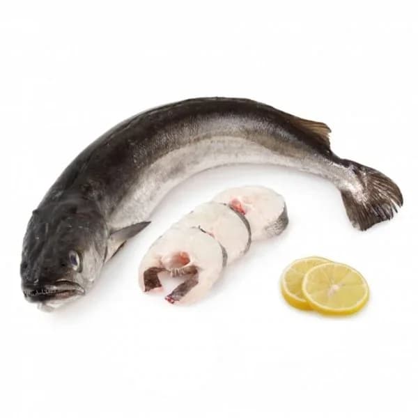 Pescadilla 1,8 kg aprox - 1 ud - Imagen del producto en Findit
