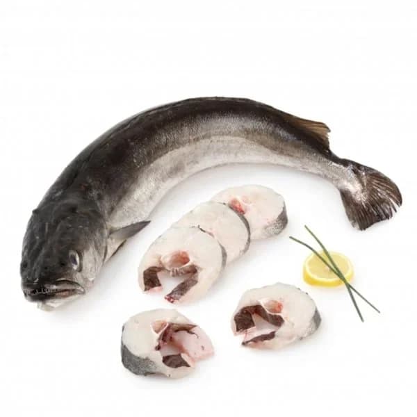 Merluza 3 kg aprox - 1 ud - Imagen del producto en Findit