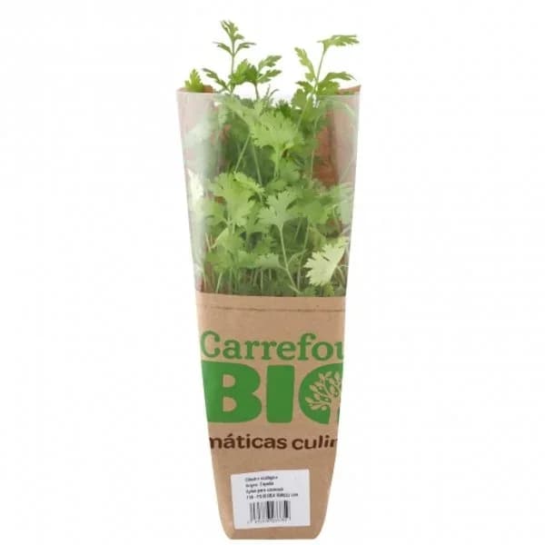 Cilantro ecológico Carrefour Bio maceta 1 ud - 1 ud - Imagen del producto en Findit