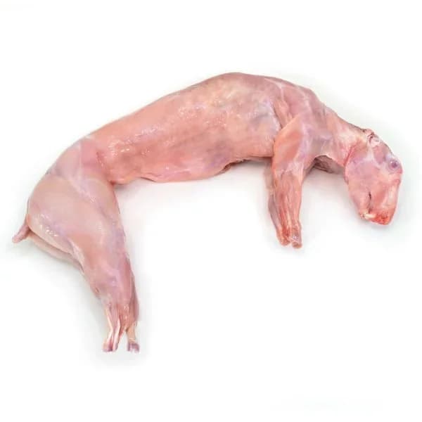 Conejo - 1.11 kg - Imagen del producto en Findit