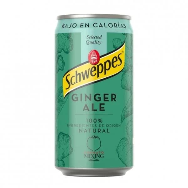 Ginger Ale Lata - 0.25 l - Imagen del producto en Findit