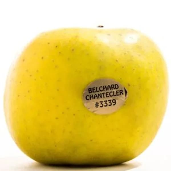 Manzana chanteclerc a granel unidad (210 g aprox) - 1 kg - Imagen del producto en Findit