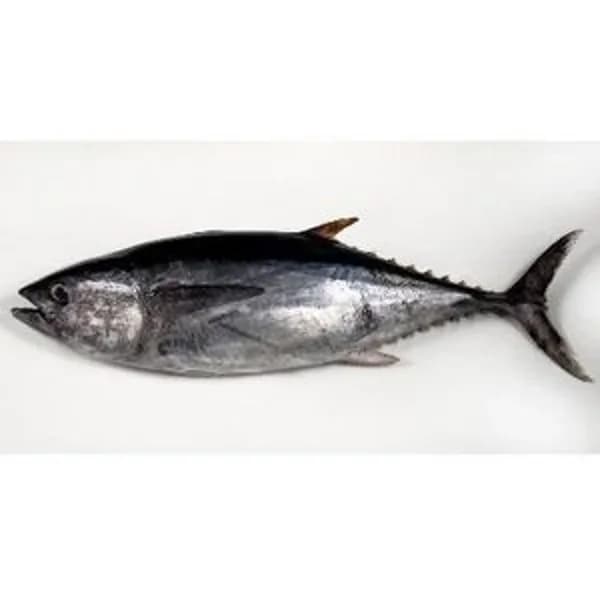 Atún grande (10 kg aprox) - 1 kg - Imagen del producto en Findit
