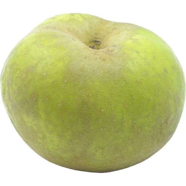 Manzana Para Asar Reineta - 0.25 kg - Imagen del producto en Findit