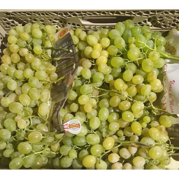 Uva Blanca €/KG - 1 kg - Imagen del producto en Findit