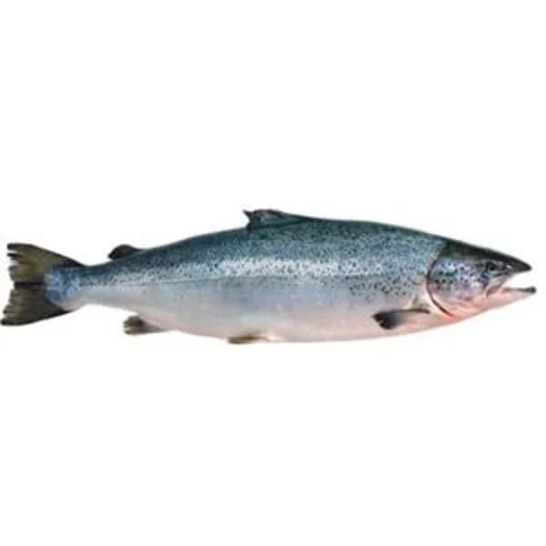 Salmón noruego entero (5 kg) o medio (2,5 kg) - 1 kg - Imagen del producto en Findit