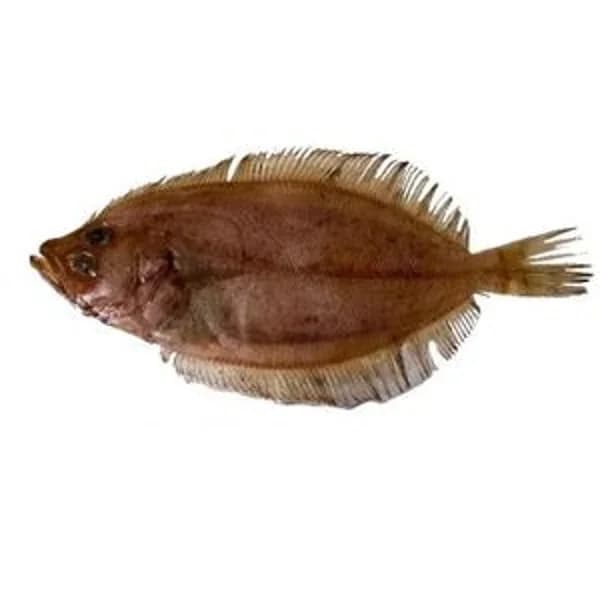 Gallo pequeño (100 g aprox) - 1 kg - Imagen del producto en Findit