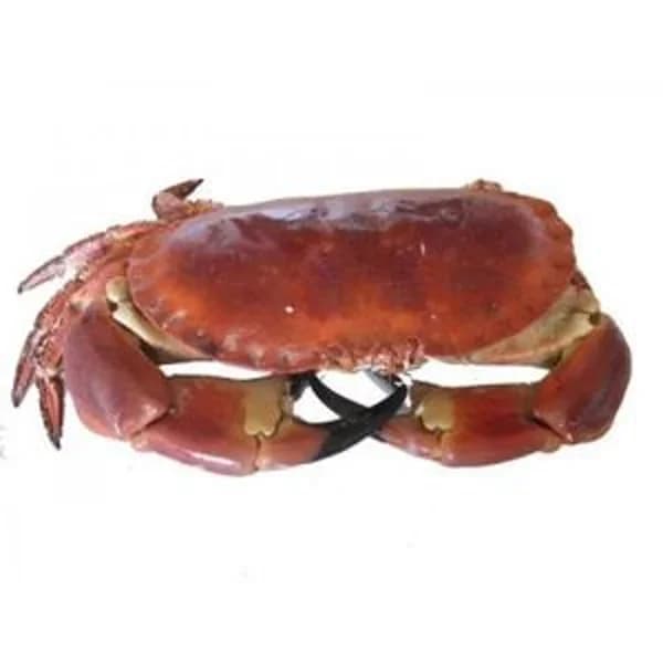 Buey de mar cocido 750 g congelado (fin de semana) - 1 ud - Imagen del producto en Findit