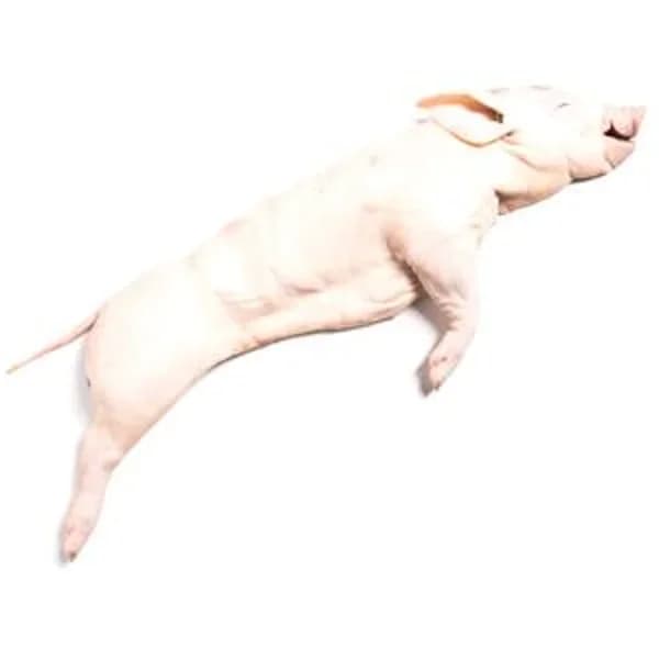 Cochinillo (3-4 kg aproximadamente) - 1 kg - Imagen del producto en Findit