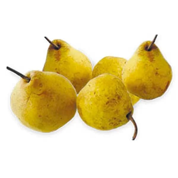 Pero Flor de Invierno €/KG - 1 kg - Imagen del producto en Findit