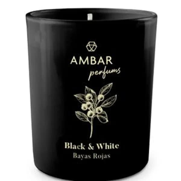 Ambientador bayas rojas vela - 1 ud - Imagen del producto en Findit