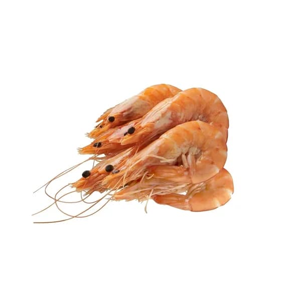 Langostino cocido - 99 kg - Imagen del producto en Findit