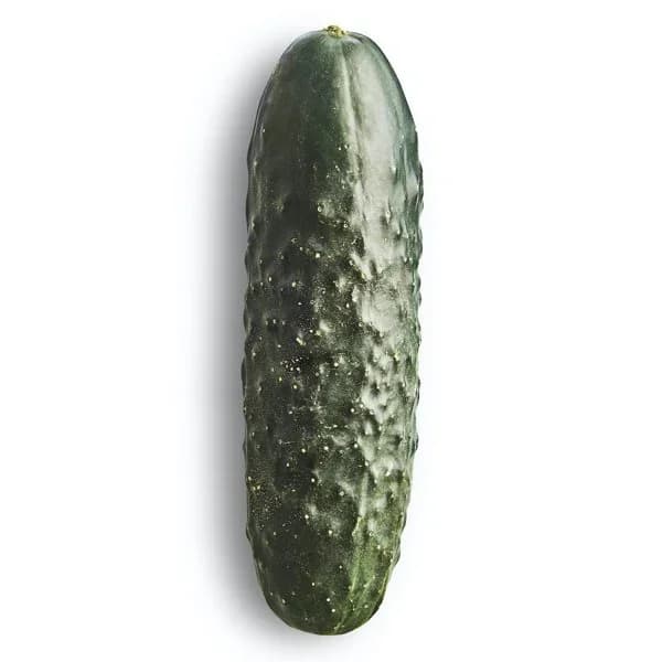 Pepino - 0.21 kg - Imagen del producto en Findit