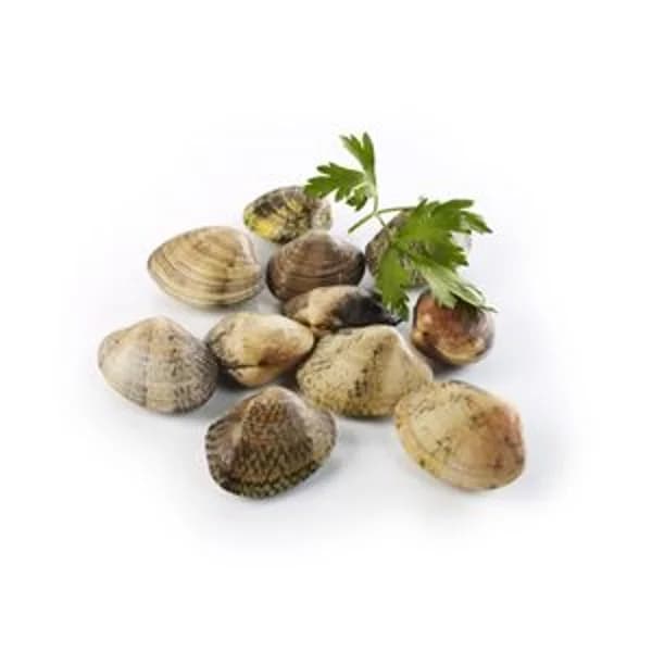 Almeja semigrande 500 gr - 1 ud - Imagen del producto en Findit