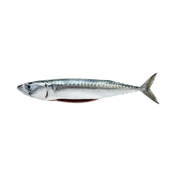 Caballa Verdel sin tripa - 0.41 kg - Imagen del producto en Findit