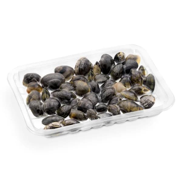 Almeja japonesa viva - 0.5 kg - Imagen del producto en Findit