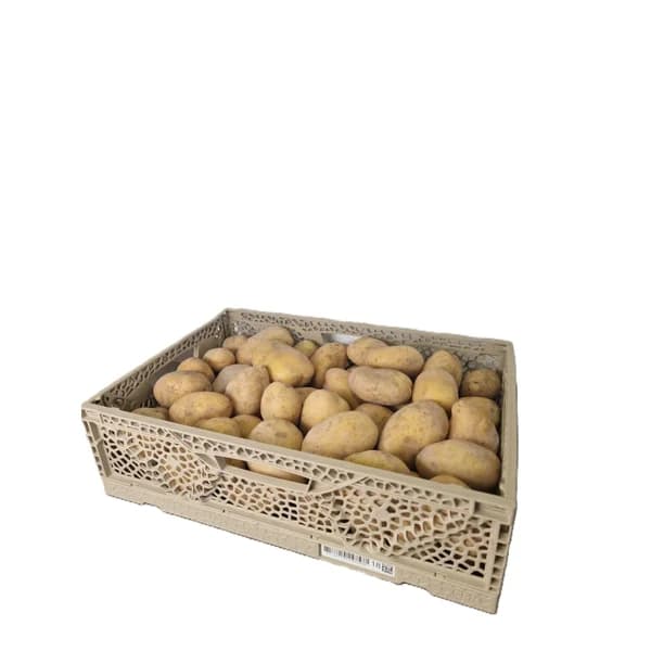 Patata €/KG - 1 kg - Imagen del producto en Findit