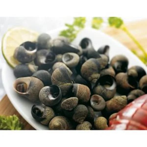 Caracol grande (entrega fin de semana) - 1 kg - Imagen del producto en Findit