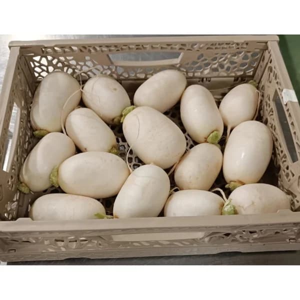Nabo €/KG - 1 kg - Imagen del producto en Findit