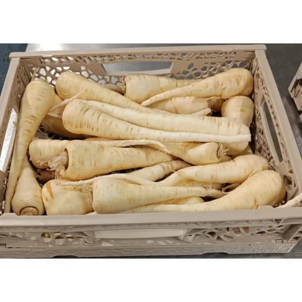 Chirivias granel E/KG - 1 kg - Imagen del producto en Findit