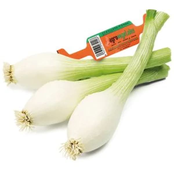 Cebolla Tierna Manojo Peso Aproximado 300 gr - 0.3 kg - Imagen del producto en Findit
