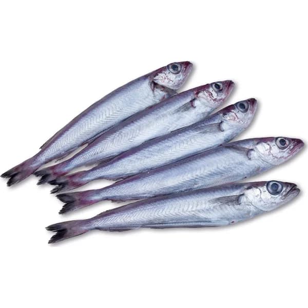 Bacaladilla Lonja - Lunes No Hay - 0 kg - Imagen del producto en Findit