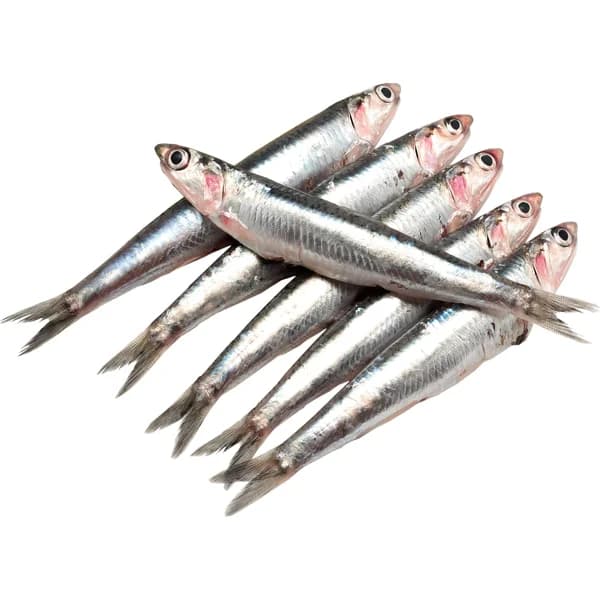 Boquerón Lonja - Lunes No Hay - 0 kg - Imagen del producto en Findit