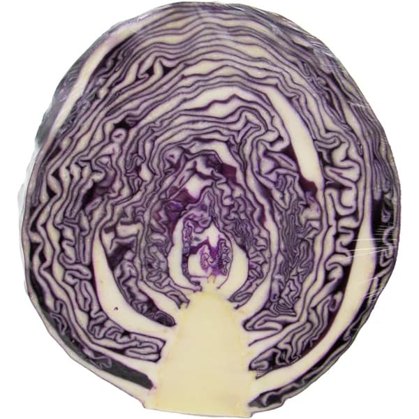 Col Lombarda Media Pieza - 0.7 kg - Imagen del producto en Findit