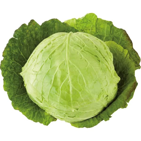 Repollo Rizado - 1.25 kg - Imagen del producto en Findit
