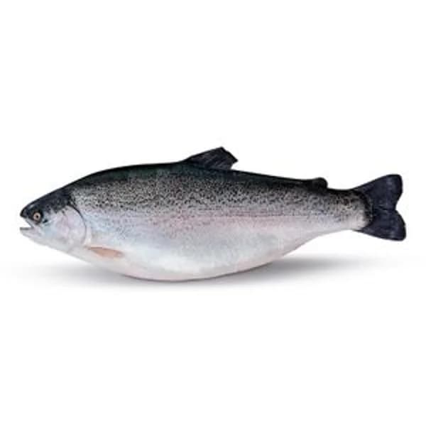Trucha Fiordos Noruegos Entera o Mitades - 2.63 kg - Imagen del producto en Findit