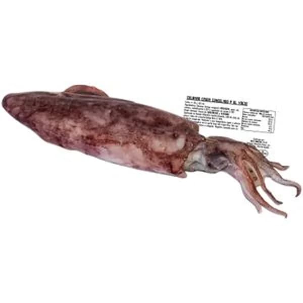 Calamar Entero - 0.5 kg - Imagen del producto en Findit